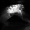 04_Les eclaircies_Nathalie Savey