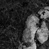 7_figures
